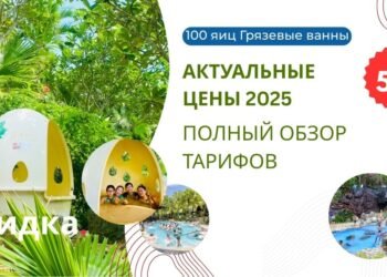 100 Яиц Нячанг: актуальные цены 2025 и полный обзор тарифов 6 100 Яиц Нячанг: актуальные цены 2025 и полный обзор тарифов