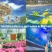 👨‍👩‍👧‍👦 VinWonders с детьми в Нячанге